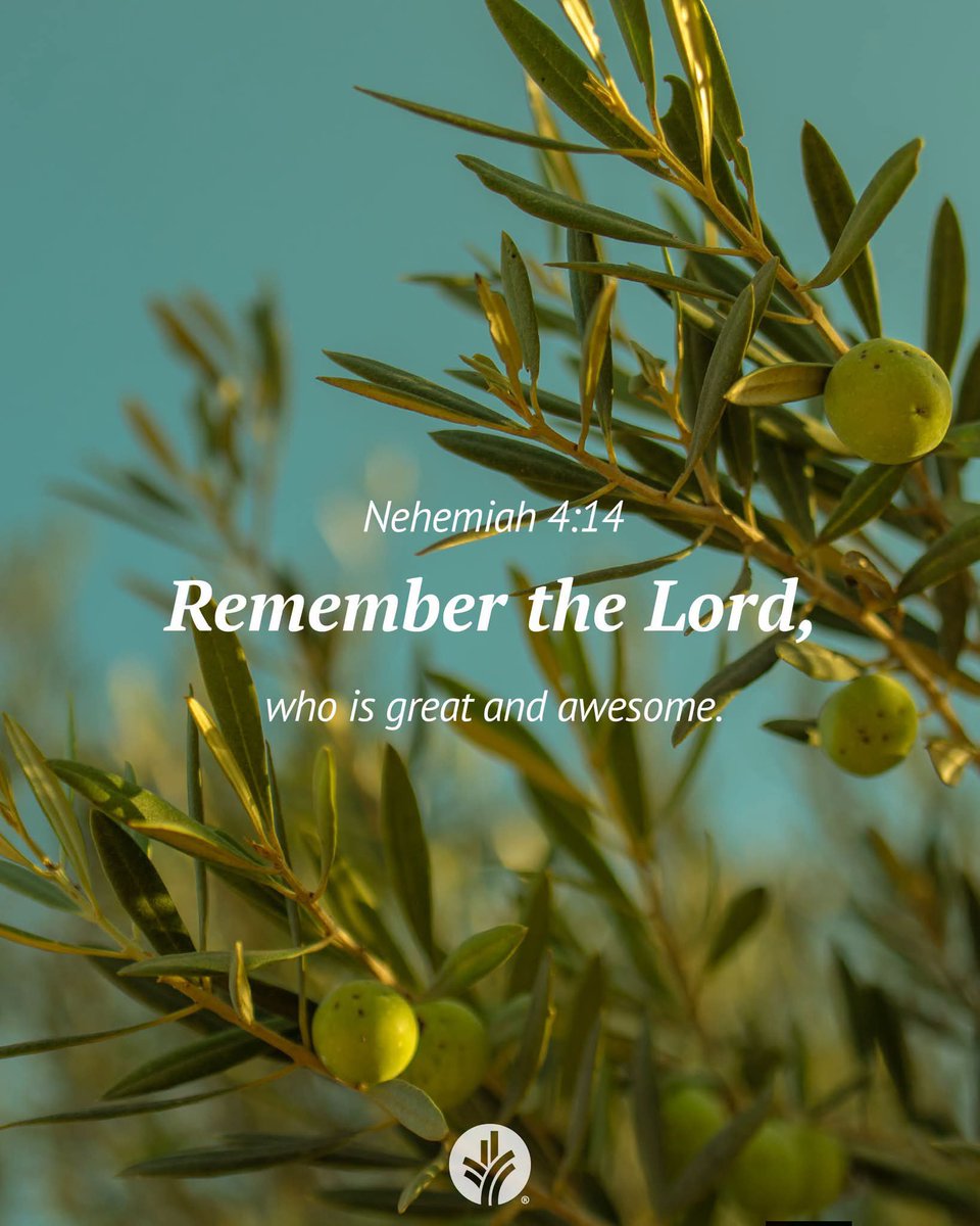 ODB_Kenya's tweet photo. What challenges are you facing? What will help you keep your eyes on God, and what will you pray for?

All-powerful, all-loving God, no matter how big my task, I can rely on Your help and strength. Please teach me to keep trusting in You. https://t.co/L87UQsL2OZ