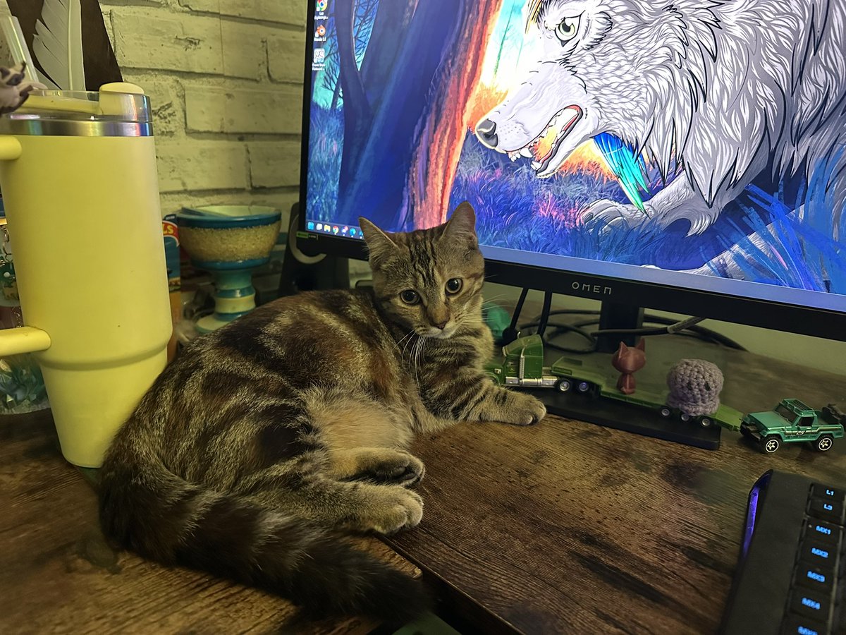 ChaoticLeeMe's tweet photo. Minecraft Buddy #Minecraft #Minecraftcat #munchkincat https://t.co/uPq87XyGwO