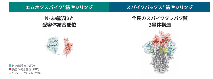 kamo_kamos's tweet photo. モデルナ社の次世代型コロナワクチン、エムネクスパイク。本日より新発売。

mRNAですが、スパイク全長ではなく、感染に重要な領域のみに抗原を絞ってるので抗原の構造もシンプルになりました。従来品より抗体価誘導も良いとの噂。15000円くらい。12歳以上。 https://t.co/xa1qSBzJcz