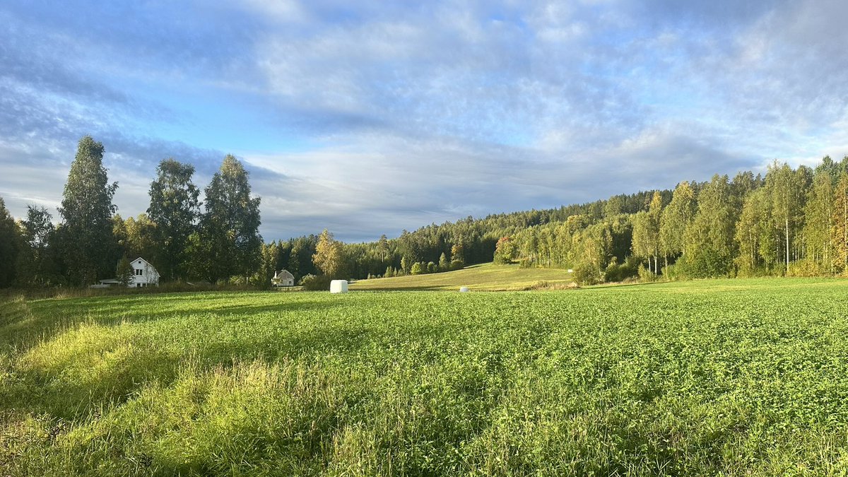 MichaelDelneij's tweet photo. Dit is toch heerlijk ❤️ https://t.co/V9E1Xal5VI