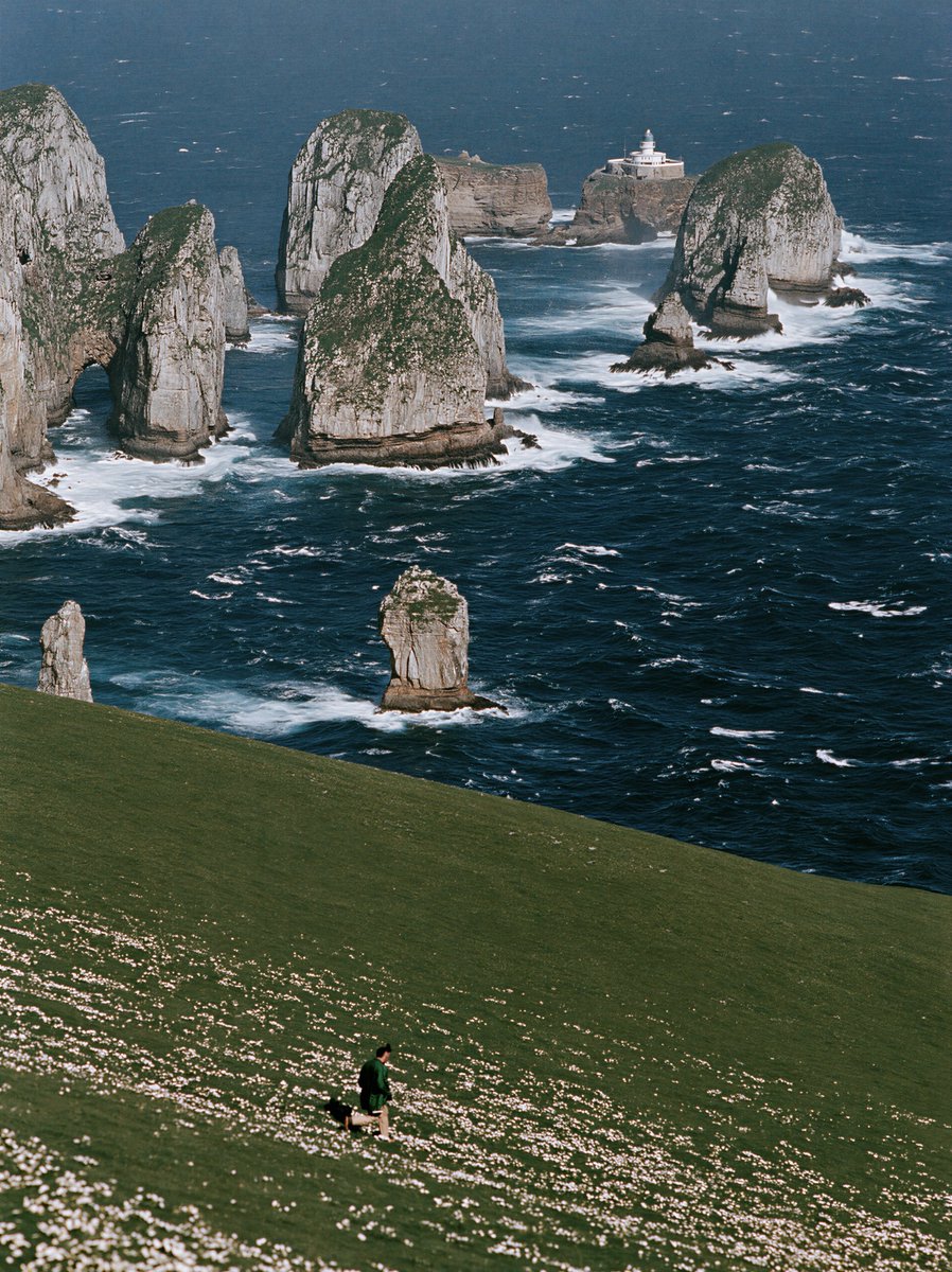 MaxVOAO's tweet photo. Hi, I’m just here to explore the world https://t.co/NLaWMiBisv