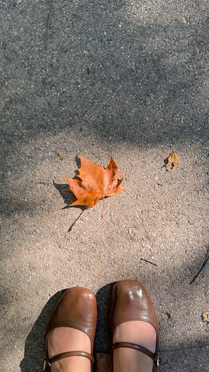 dontbeserious__'s tweet photo. اول علامة للخريف 🍁🍂 https://t.co/IyXsLY6O2r
