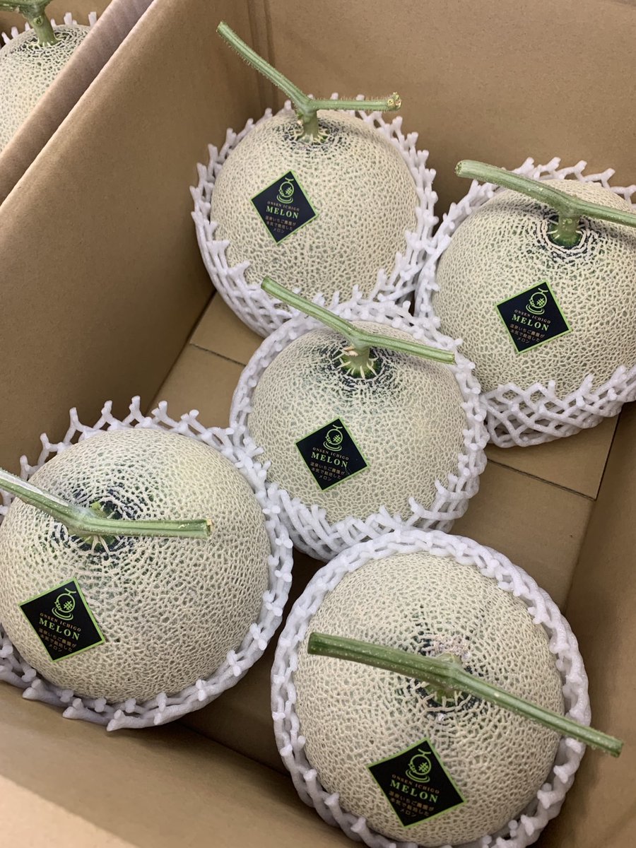 onsenichigo's tweet photo. ｢温泉いちご農園メロン｣出荷準備中♨️🍈 
 #温泉いちご農園メロン 
#メロン 
#温泉いちご農園
#サステナブル 
#メイワファーム 
#6次産業化 https://t.co/VD5F1HI3zG
