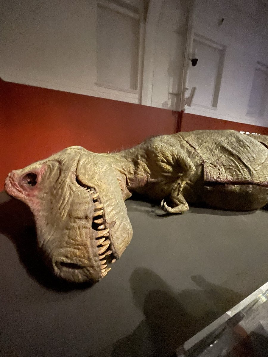 hexcakes's tweet photo. Guys don’t even bother going to the museum, all the dinosaurs were dead??! Feeling really bummed out. I had a lot of questions for them. Guess I’ll never know. https://t.co/b2acHvZrsg