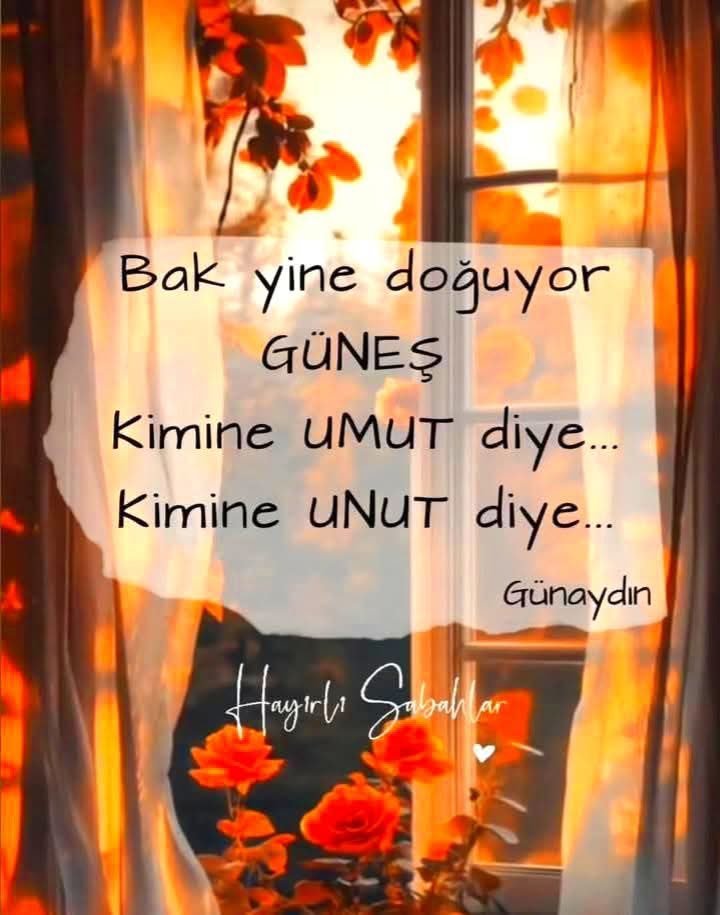 garip3_ak's tweet photo. https://t.co/uBQCtnZZAw