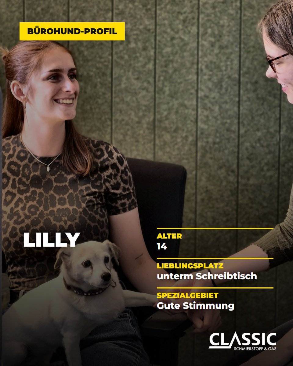 DenyseCarnbb's tweet photo. Employee of the Month? Clearly: Lilly! Always on time, friendly, never in a bad mood, and a true pro at taking short breaks. For Office Dog Day, we celebrate our four-legged colleagues who make every workday brighter. Name: Lilly
Age: 14
Favorite https://t.co/qyqssWx72d