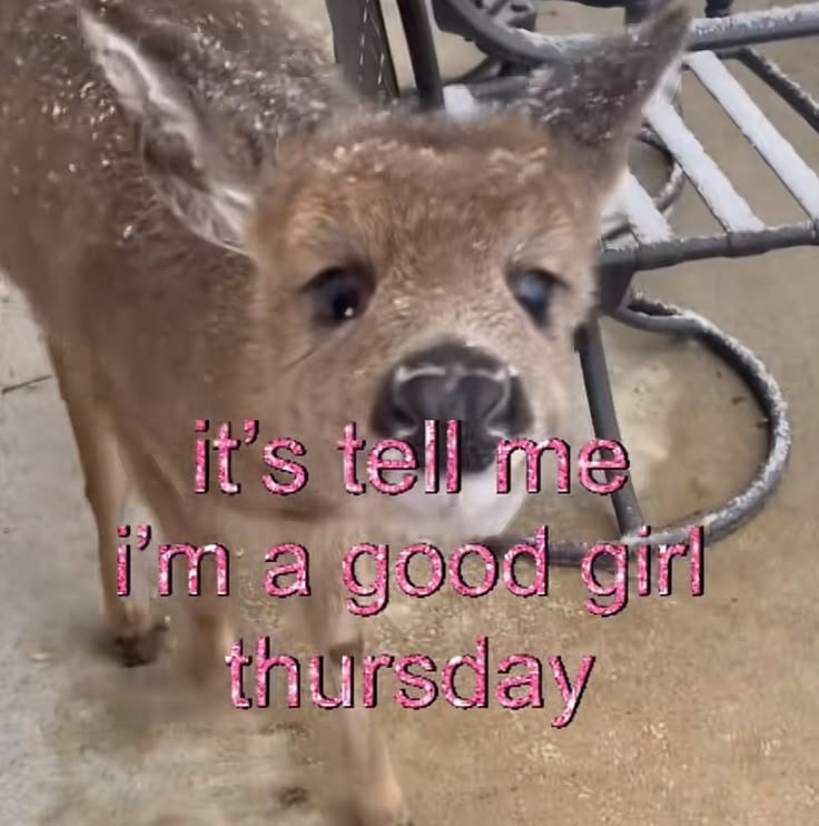 bunviie__'s tweet photo. doncha jus LOVE thursdays https://t.co/gMHQg9wAdm