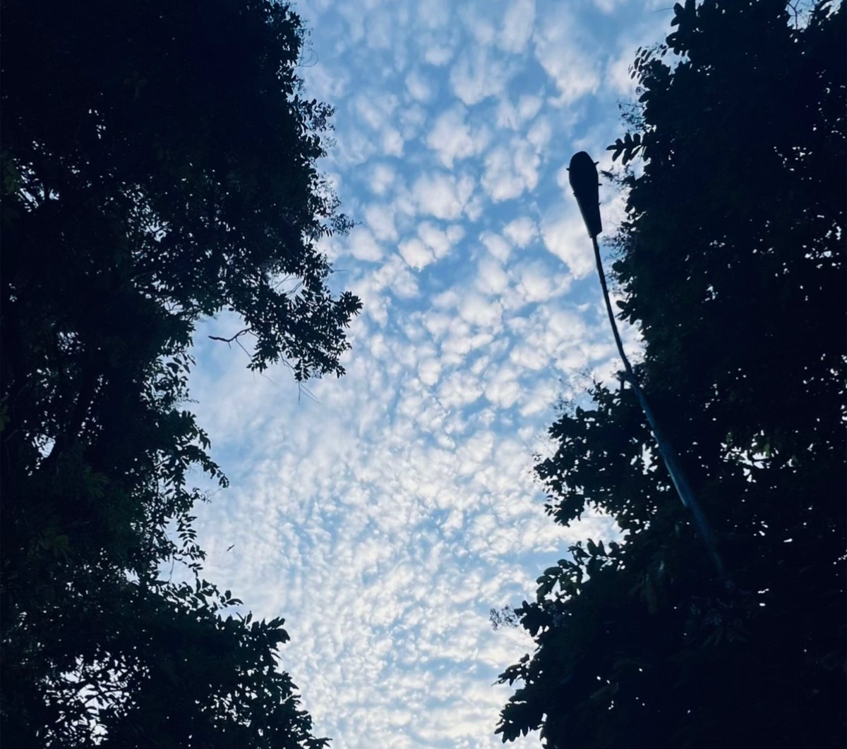 nexoraXo's tweet photo. Every person is multifaceted
We can only get to know. 

Someone as much as he
reveals himself to us.  💙🙂 https://t.co/Rie0Opk54Y