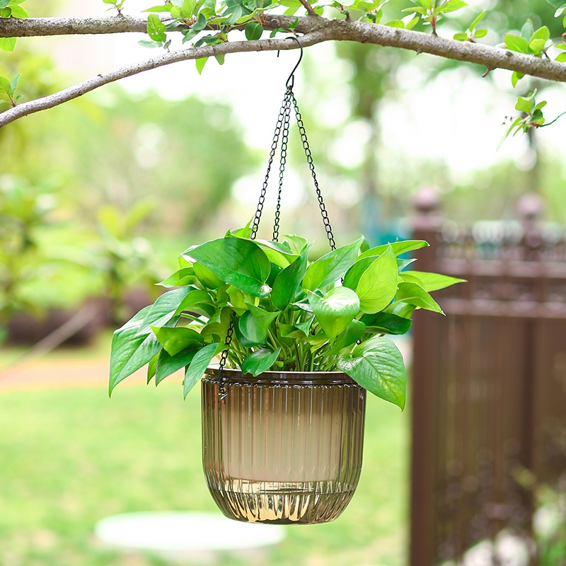 amelq556224's tweet photo. Just finished up my DIY macramé plant hanger using only 3 cotton ropes and a basic knot tutorial! My pothos looks like it’s floating now  #DIY #Crafting https://t.co/KRXtUdj4p2