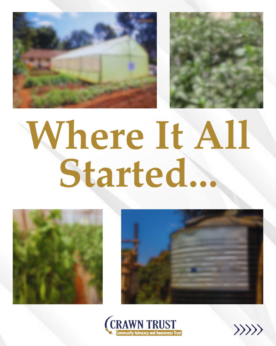 crawntrustkenya's tweet photo. Where it all started.
An available piece of land within Kibera Railway Station became an opportunity to create something productive for the community.
@weworld @barnfonden @Oayouthkenya @EUinKenya
#SSY #ClimateAction #Sustainability #CRAWNTrust https://t.co/no5BunikXX
