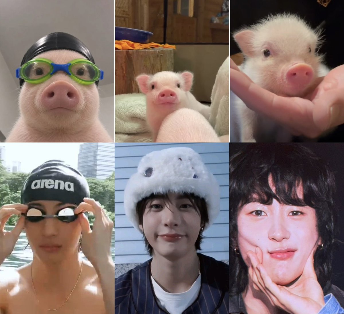 peachxrd's tweet photo. 🐷🐽🐖 https://t.co/0YjZtFuxVC