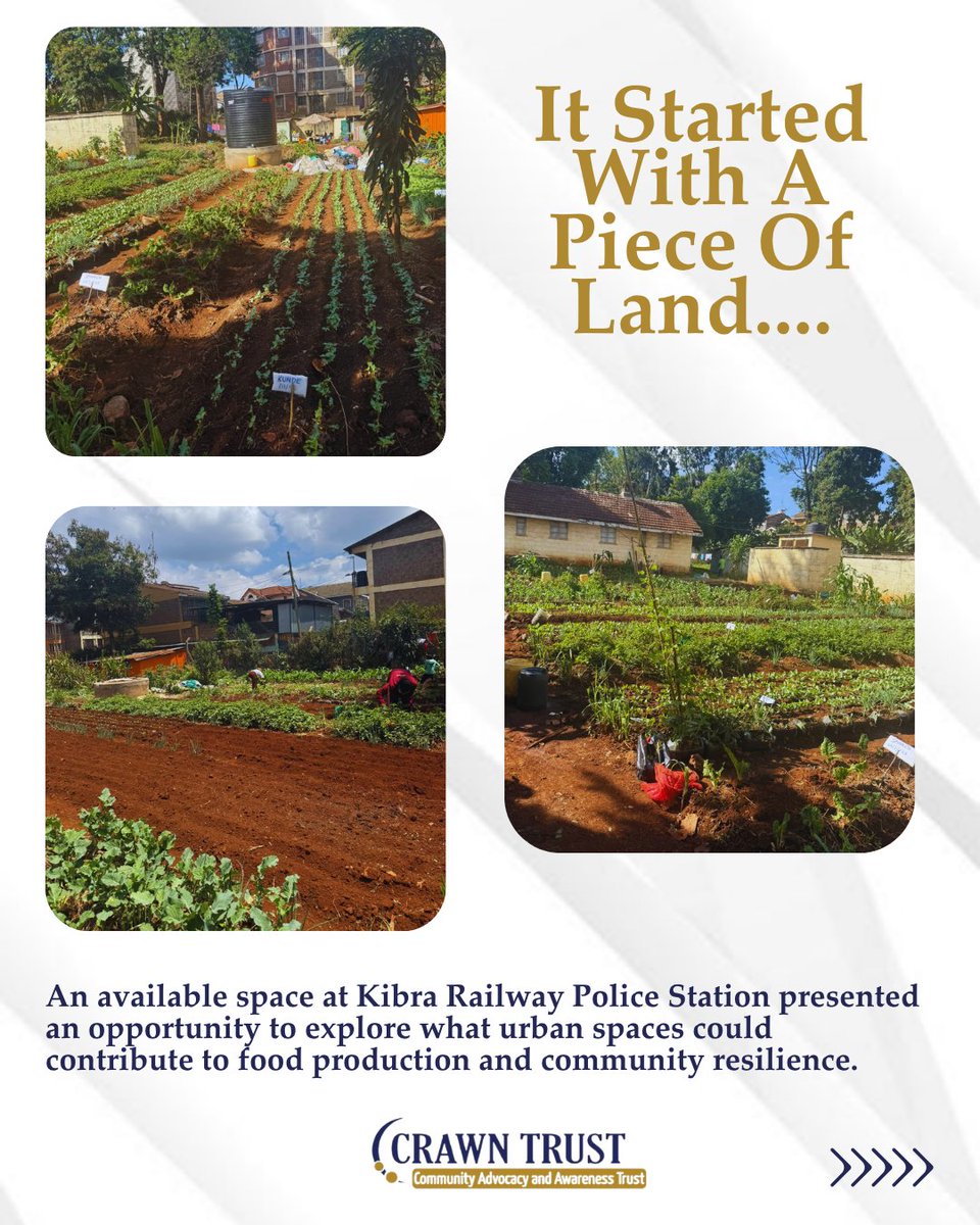 crawntrustkenya's tweet photo. Where it all started.
An available piece of land within Kibera Railway Station became an opportunity to create something productive for the community.
@weworld @barnfonden @Oayouthkenya @EUinKenya
#SSY #ClimateAction #Sustainability #CRAWNTrust https://t.co/no5BunikXX