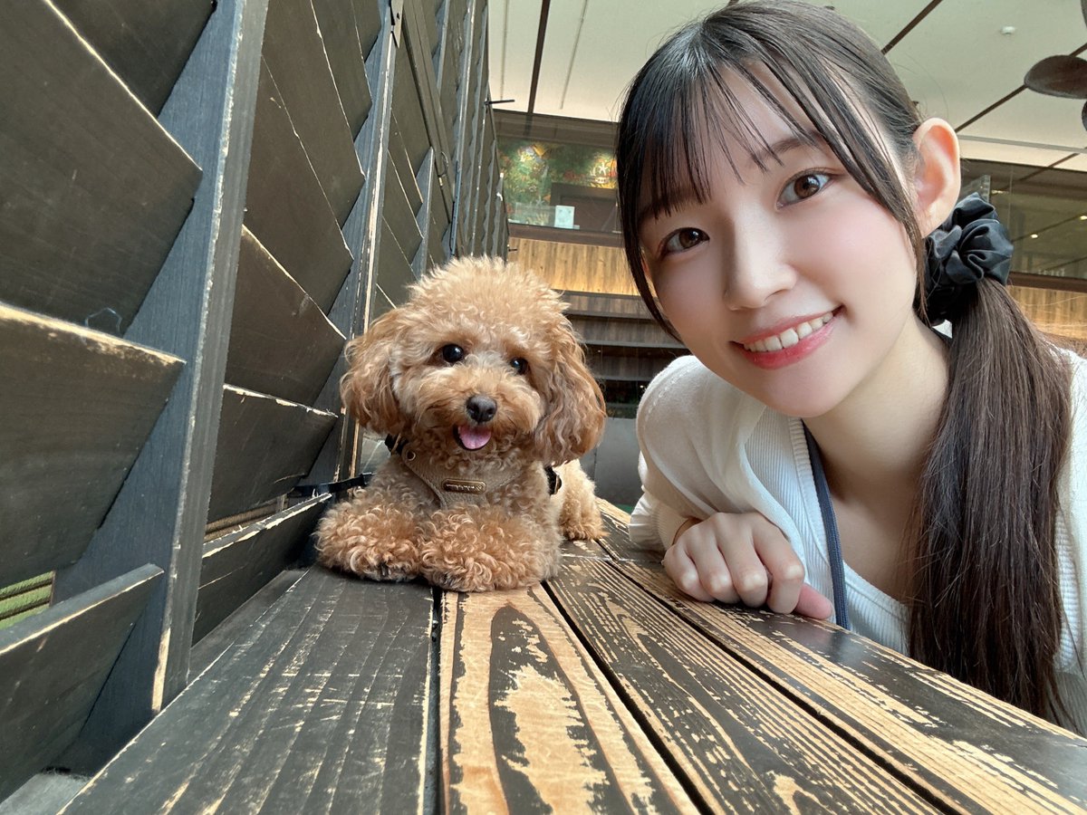 hazaki_sub's tweet photo. どんどんカメラに近づくリノたん🐶 https://t.co/7Dh3awmum1