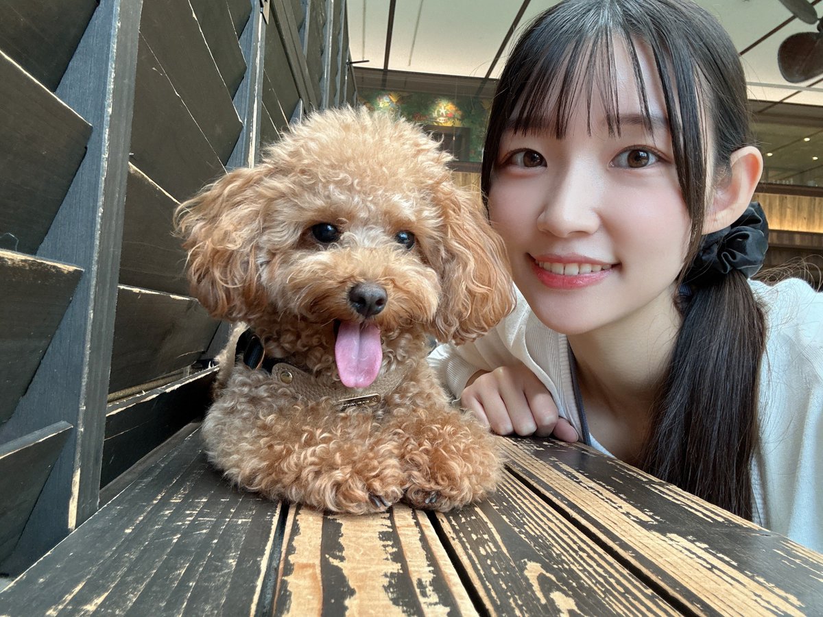 hazaki_sub's tweet photo. どんどんカメラに近づくリノたん🐶 https://t.co/7Dh3awmum1