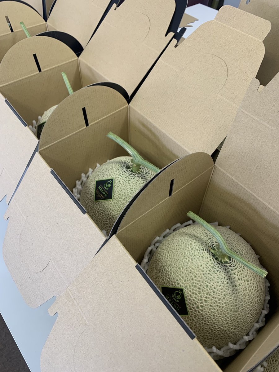onsenichigo's tweet photo. ｢温泉いちご農園メロン｣
１個用箱も届いたのでそちらも出荷準備♨️🍈   

#温泉いちご農園メロン 
#メロン #温泉いちご農園 
#サステナブル 
#メイワファーム 
#6次産業化 https://t.co/gcRzr1f1Le
