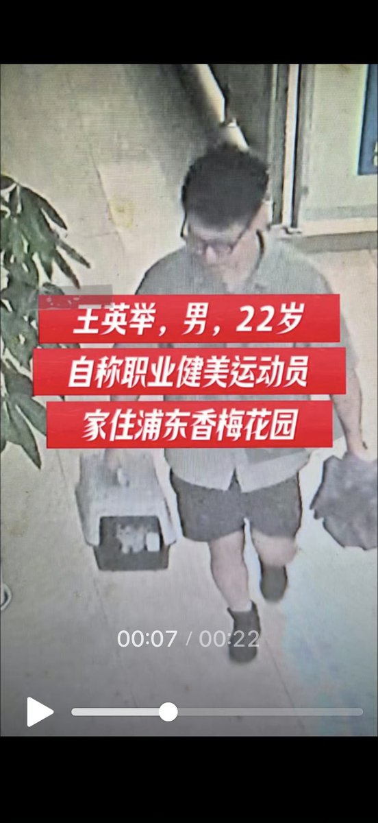 GweipoHey's tweet photo. 中國大陸上海男子性侵貓咪。

性侵者名字：王英举 
住址：上海香梅花园一期13号703

他虐死了很多猫，他家楼下经常有死猫，他到处在领养母猫，以前屁股流脓，尾巴断裂，扔出来，现在扔出来的都是死猫。 https://t.co/9NhHu4vvvR