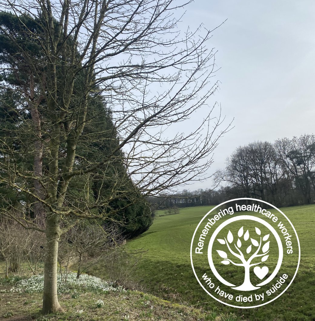 DoctorsDistress's tweet photo. 🌳National Suicide Memorial Day for Health and Care Workers🌳 In her new article for **https://t.co/7drTJuaw8w** Mary Jane Roberts, CEO of Doctors in Distress says doctors save lives daily, we should do more to save theirs https://t.co/wg8oGSMKXZ https://t.co/r5zaHG715J