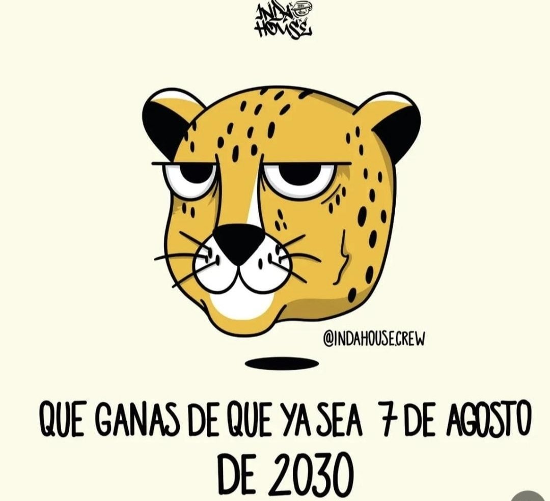 amarghado's tweet photo. @ABDELAESPRIELLA Llegó agüebardo y con él... terremotos, incendios forestales, recrudecimiento de la violencia, asesinato de menores, reinicio del envenenamiento del medio ambiente con algo peor que el gligosato, caídas de aeronaves, mejor dicho NOS LLEVÓ EL PUT*S!!!!
@DiegoMo21106136 https://t.co/TLWSVS3iLL