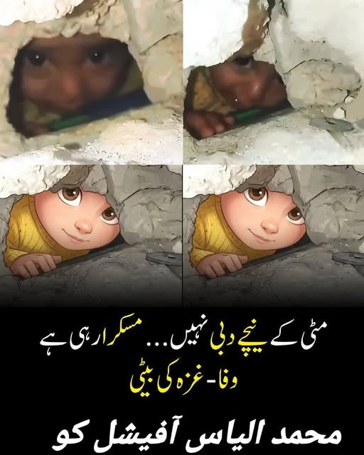 cutielilac264's tweet photo. غزہ کی سنگین تباہی، خوف اور بے یقینی کے اس گھٹا ٹوپ اندھیرے میں بھی،
ایک معصوم کلی اب کھلکھلا کر مسکرا دیتی ہے...
یہ غزہ کی بیٹی ہے، جس کا نام ’’وفا‘‘ ہے۔
یہ ہمارے دل کا ٹکڑا اور ہماری امید کی کرن ہے!
​دل سے دعا ہے کہ ننھی وفا ہمیشہ محفوظ رہے،
#نکلو_اپنے_حق_کے_لئے https://t.co/T6PS7WIEIJ