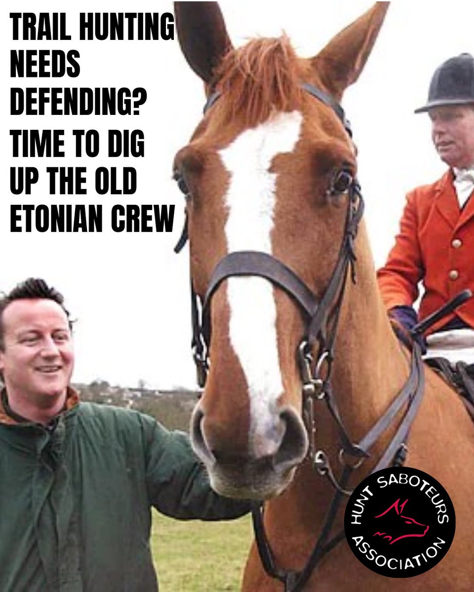 HuntSabs's tweet photo. This week, former Prime Minister David Cameron, who is also the stepson-in-law of British Hound Sports Association Chair Viscount Astor, described the proposed so-called “trail-hunting” ban as “completely wrong,” while former Home Secretary David Blunkett, who opposed the original 2004 ban on fox hunting, called it a “mistake.”

Any more has-beens that hunting propagandists want to dig up to defend the indefensible, we wonder?

Cameron’s stepfather-in-law and BHSA chair recently went to extraordinary efforts to “hoodwink” ministers into accepting changes to trail hunting rather than the ban promised in Labour’s manifesto.

Take a look back at our recent article about the shady attempt by hunting’s old guard to convince ministers to let them continue hunting foxes 👉🏻 https://t.co/MLLd0595L7