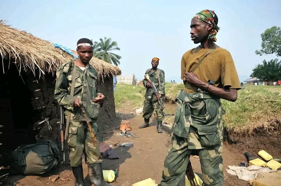 Zionnews7's tweet photo. #Masisi : des affrontements entre l’armée et les rebelles de l’AFC/M23 signalés autour de la colline #Burora , près de #Ngungu
https://t.co/PN854JilF6 https://t.co/PCIqYgKbZJ