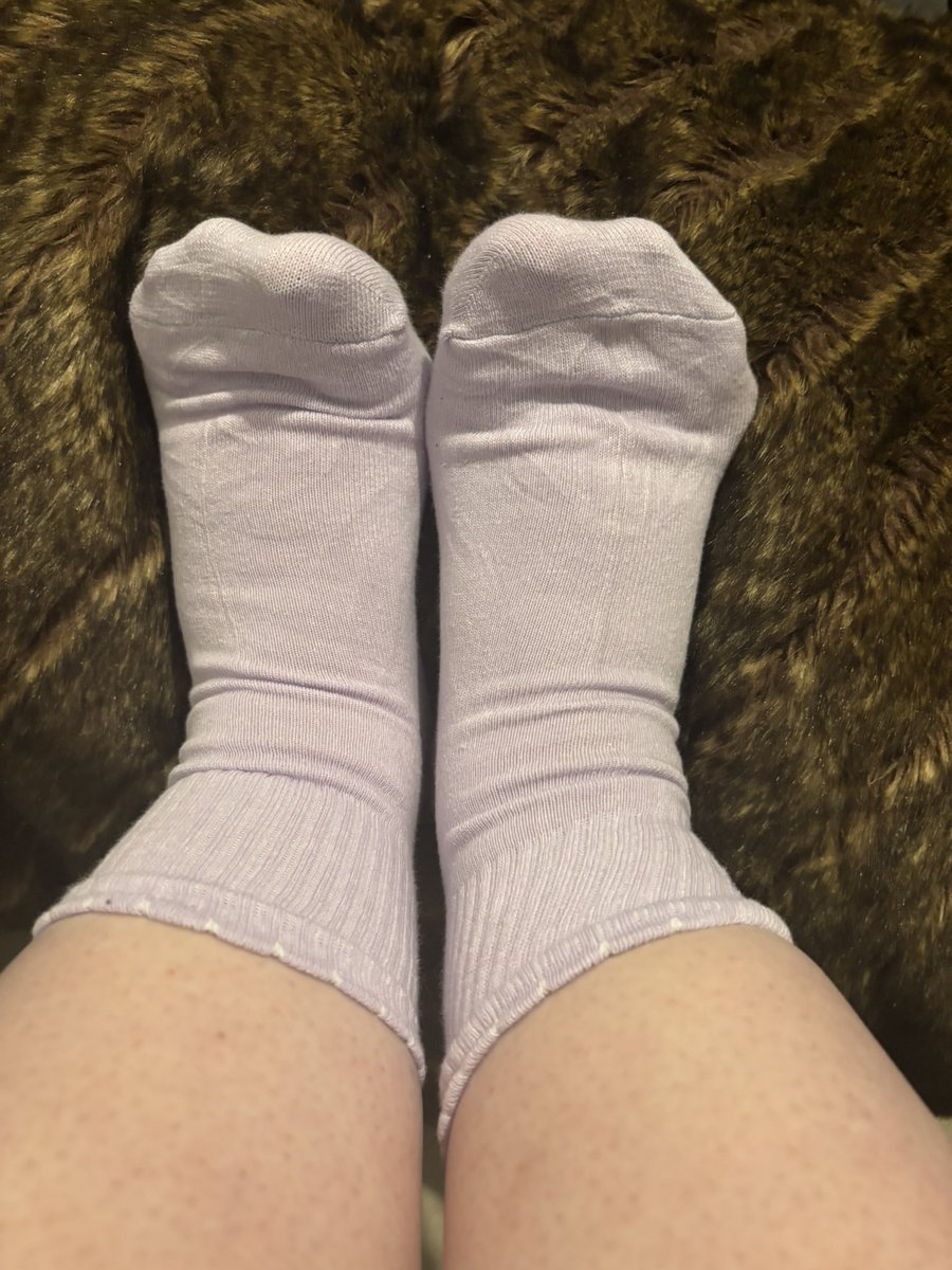 Purplecutefeet's tweet photo. Good morning, everyone ☀️💜
Starting the day with some cozy PurplePrincess vibes 👣✨

Hope you’re having a beautiful morning! 🌸
What are you up to today? 💜

#GoodMorning #Feet #FootPhotography #PurplePrincess https://t.co/3pu2XqqA0C
