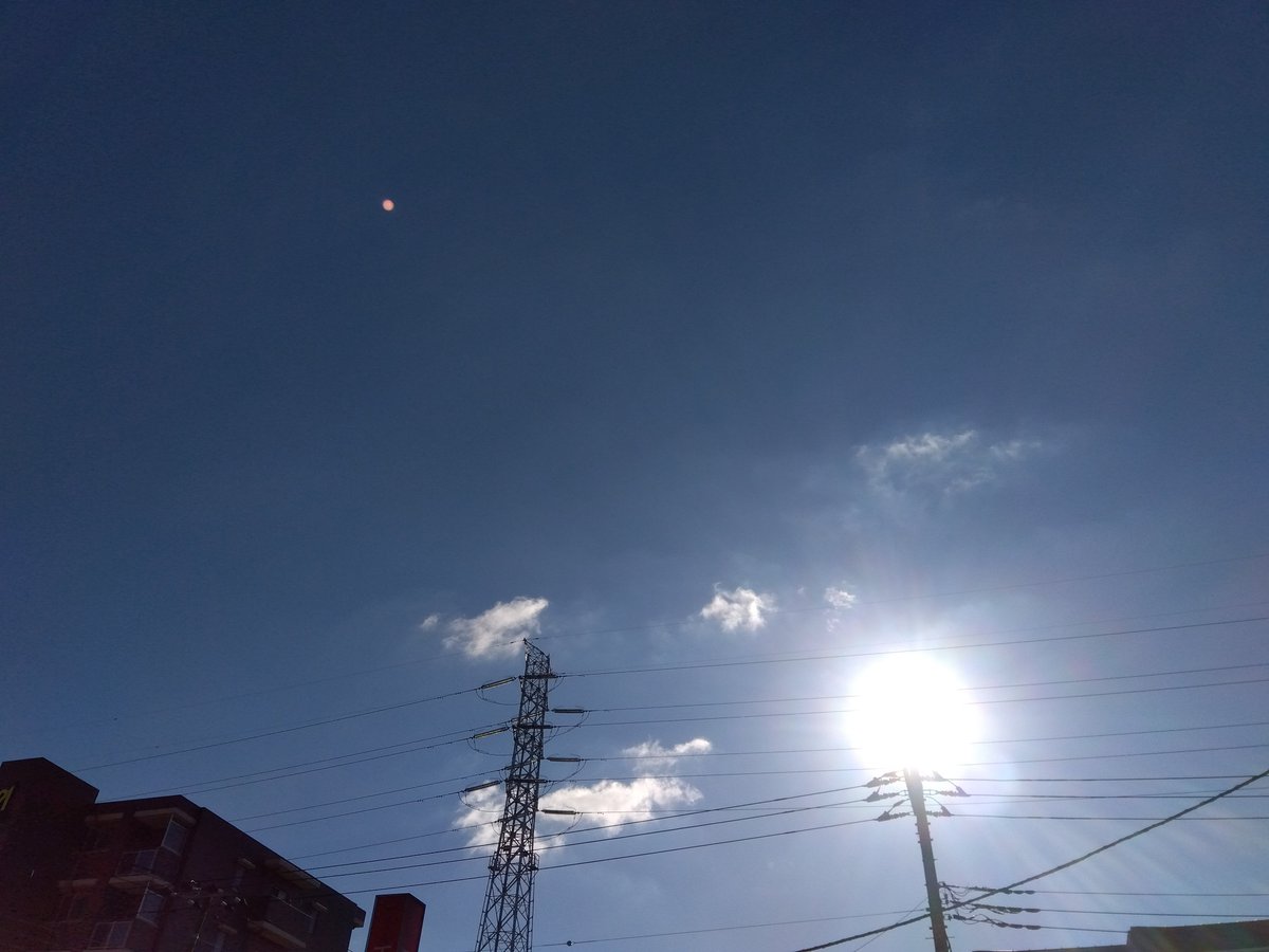 MakoVw3's tweet photo. 今日の花と空🌺🌤️
#花　#空　#千葉県千葉市 https://t.co/vpPC5mmIea
