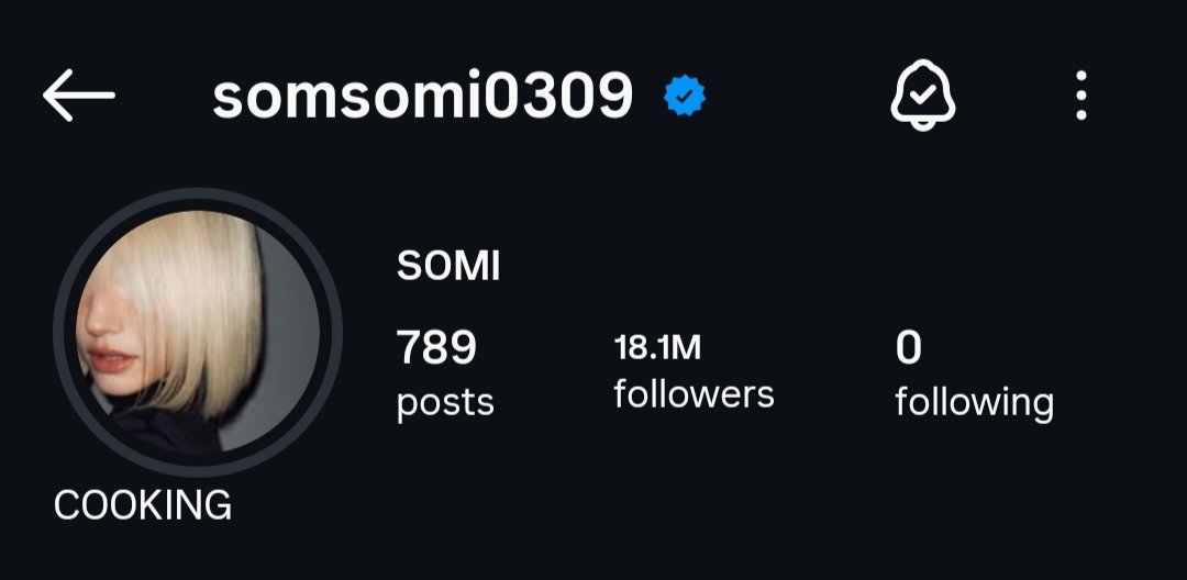 SOMI_CLOUD's tweet photo. Sommungchi. To help Somi’s IG follower count recover, I would appreciate it if you could follow &amp; share updates from her IG whenever possible in everywhere. Her follower count has been steadily dropping bc so many people have been reporting her account since last year. Thank you. https://t.co/I1TfafbrWS