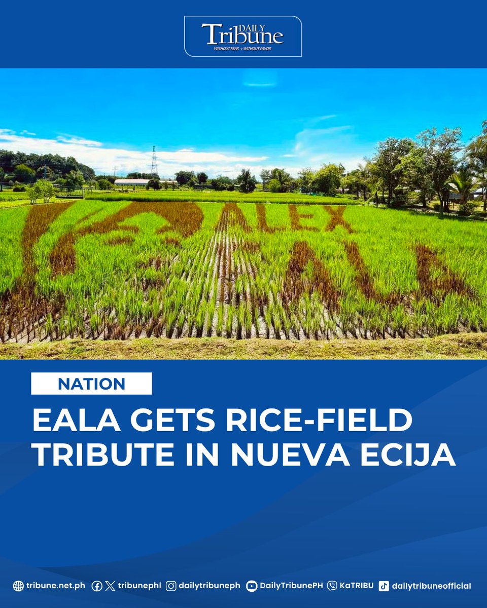 tribunephl's tweet photo. Filipino tennis star Alex Eala is getting a distinctly agricultural tribute, with her likeness recreated in a rice field at the Philippine Rice Research Institute (PhilRice) campus in the Science City of Muñoz, Nueva Ecija. | Jason Mago

Read more at: https://t.co/2lsz0xxWO2

#DailyTribune #AlexEala