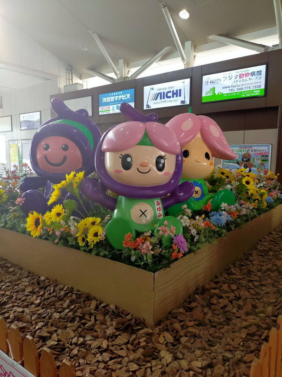 age_bar_com's tweet photo. AGEバルパンフレットは、
JR上尾駅　西口側のラックで
無料配布しています。
ご自由にお持ちください。

#上尾市観光協会
#AGEバル
#街バル https://t.co/7MrqbuUygH