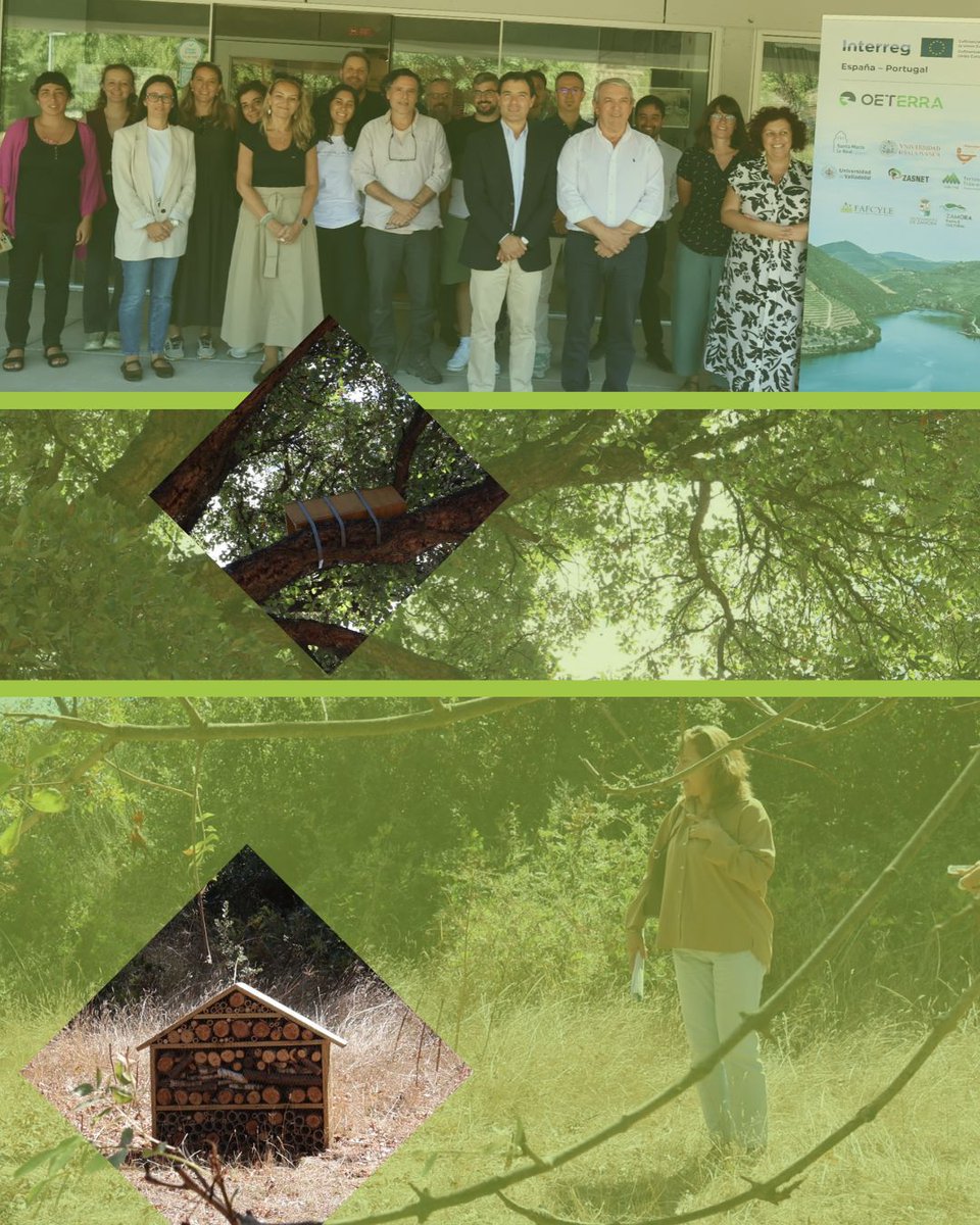 FundacionSMLRPH's tweet photo. 🌿#OETERRA desde Mogadouro (PT) para seguir coordinando próximas acciones de cooperación transfronteriza centrada en la conservación, restauración y puesta en valor del patrimonio natural. ℹ️https://t.co/ItgeHZQf0T
@interregproctep #InterregPOCTEP #CooperaciónTransfronteriza🌍💚 https://t.co/BsGCk5e5ni
