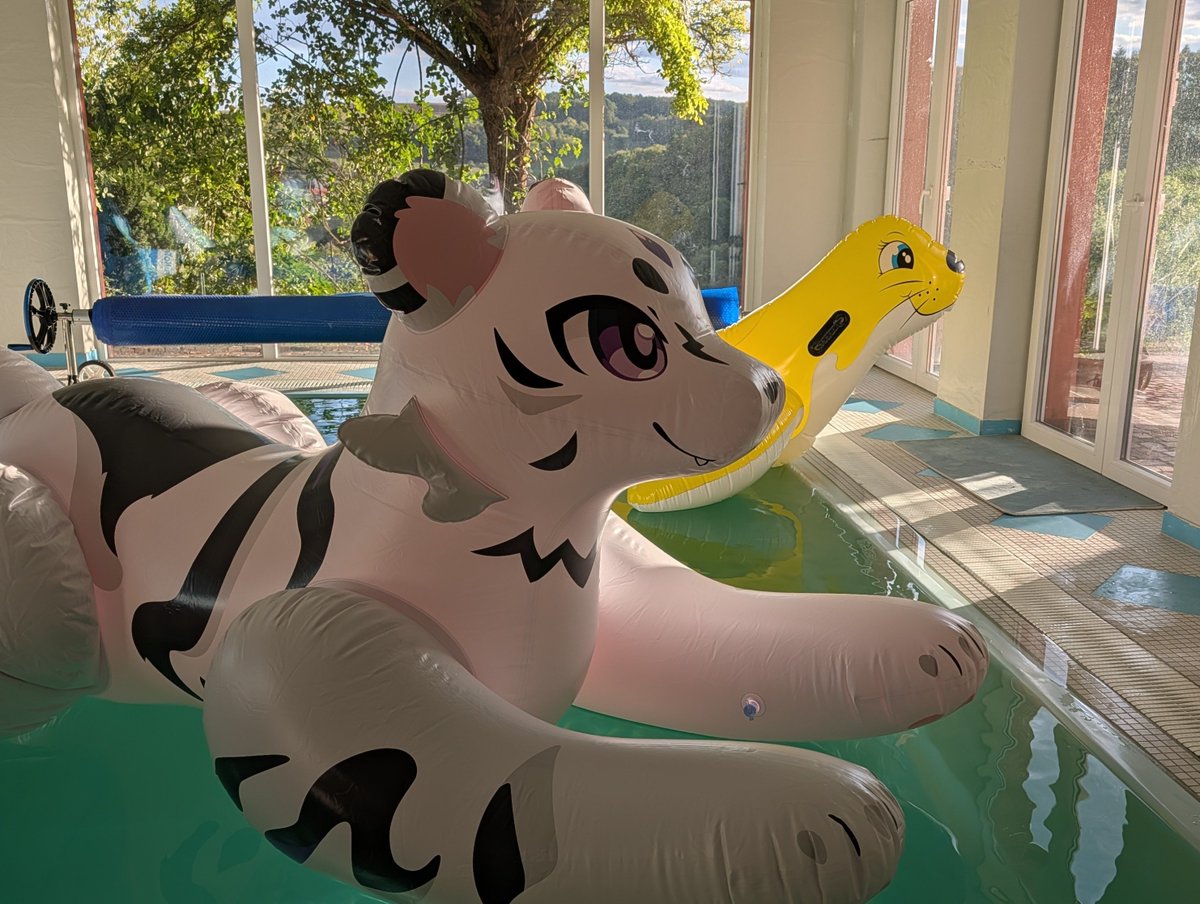 Kanan_tan's tweet photo. Hanzhi is really stable and comfortable in pool https://t.co/EWiwzuJMdk