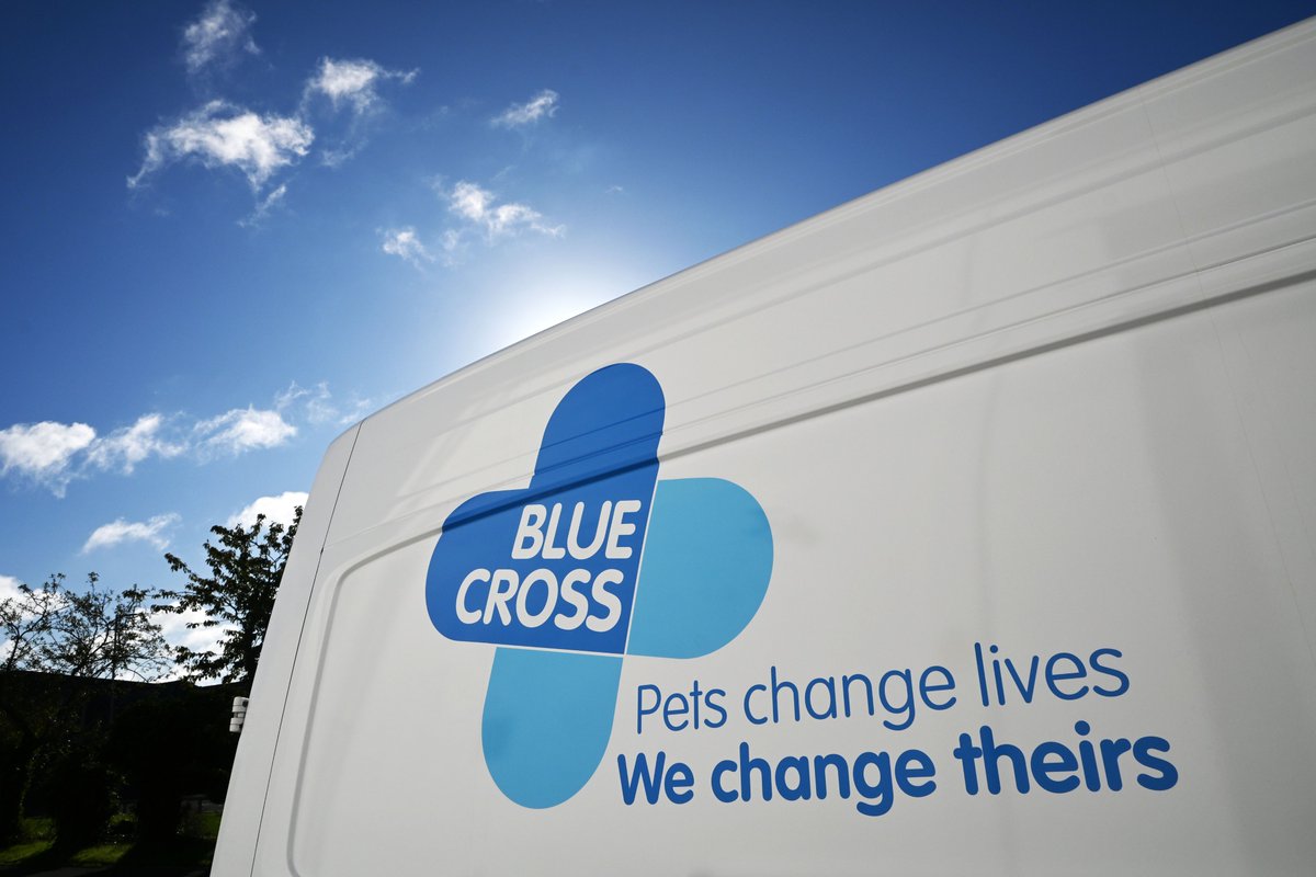 MediafleetLtd's tweet photo. New Additions to the @The_Blue_Cross Fleet

Looking great in the September sunshine, these newly branded @VW #Crafter LCVs have recently joined the Blue Cross fleet.

A fantastic addition to the fleet, bringing the Blue Cross brand to the road.

#BlueCross #WrappedByMediafleet https://t.co/MK1f3VPRzP