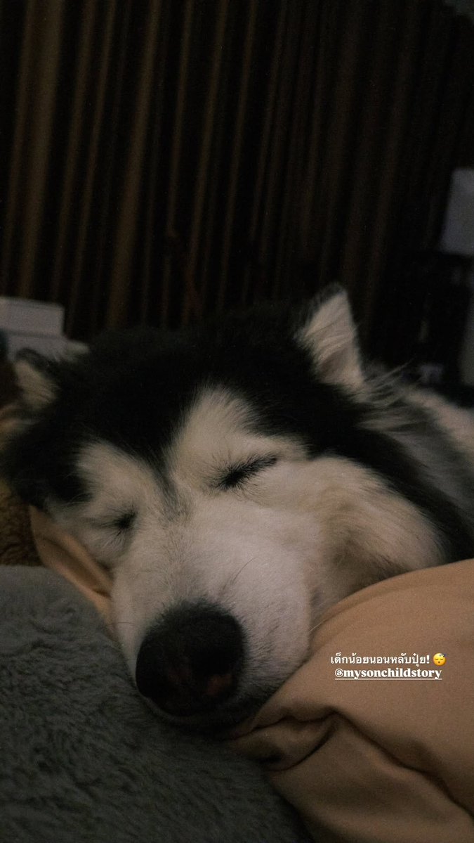 BenzAlertOFC's tweet photo. 170926 | IGs Update : bbenzalert
@bb_benzalert #BENZALERT

💬 เด็กน้อยนอนหลับปุ๋ย! 😴
#mysonchildstory

: เอ็นดูเด็กน้อยยย 🥺🤏🏻 คิดถึงหลานบีกินจังเลยค้าบบบ 🤍 https://t.co/CYBkgHdN8C