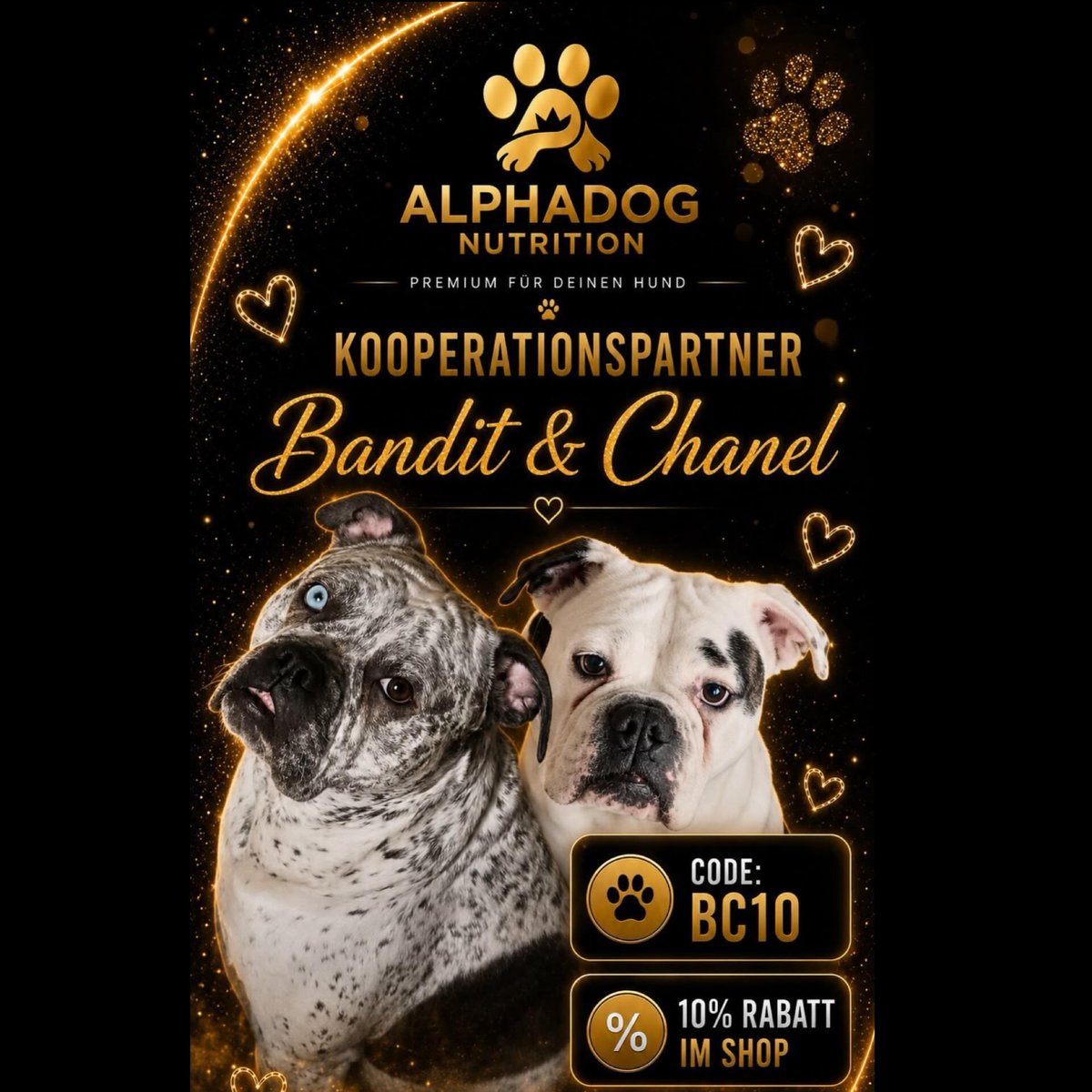 WhitleyStagw's tweet photo. Partnering with ALPHADOG NUTRITION! Bandit and Chanel love their hypoallergenic, grain-free, natural premium food. With expert personal advice and options for every need, we’ve found the perfect BARF alternative. Use code BC10 for 10% off. https://t.co/ALBN1MhcGW