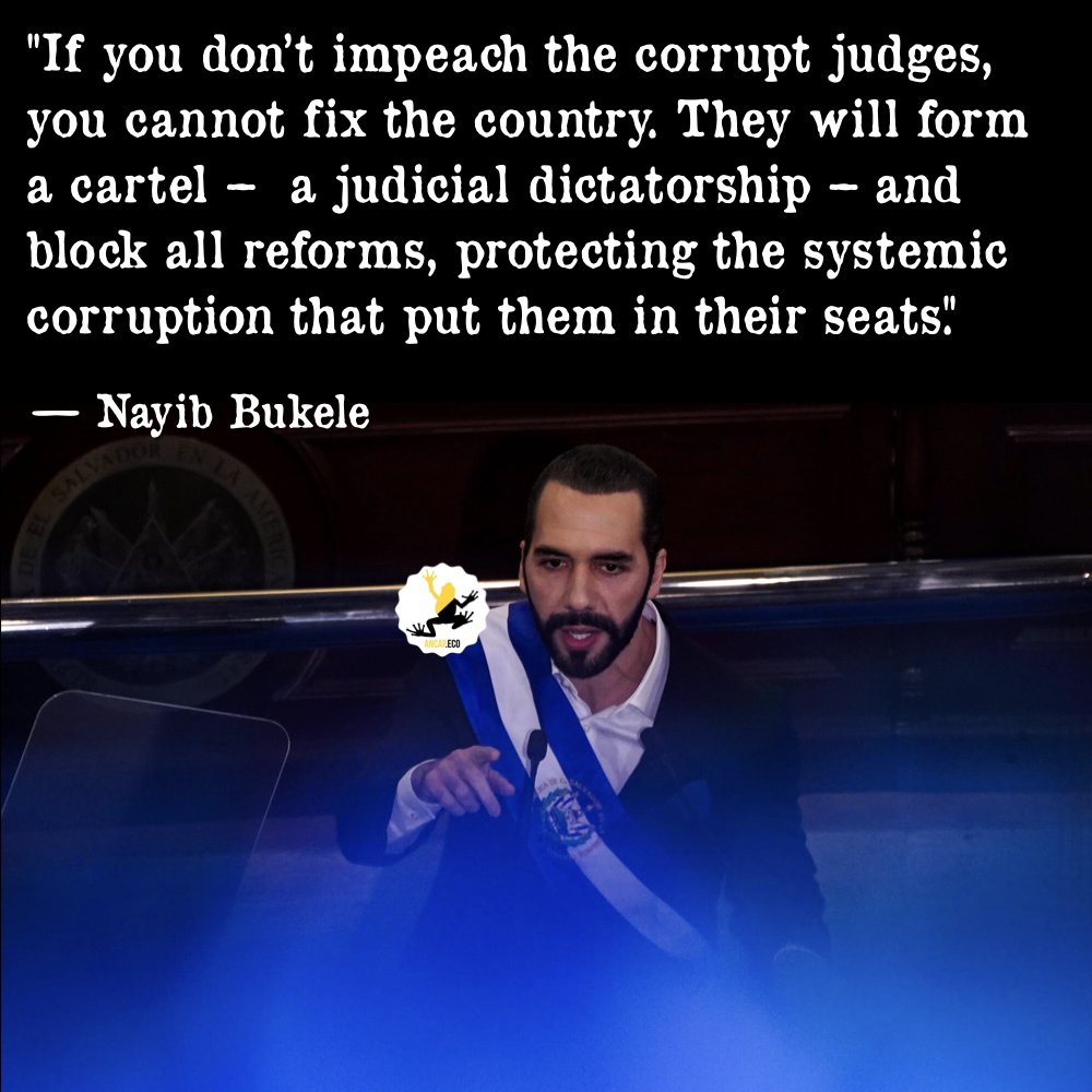 LibEnviron's tweet photo. #AnarchoCapitalism #Justice #Law #Libertarianism #NayibBukele https://t.co/TENgiVxphg
