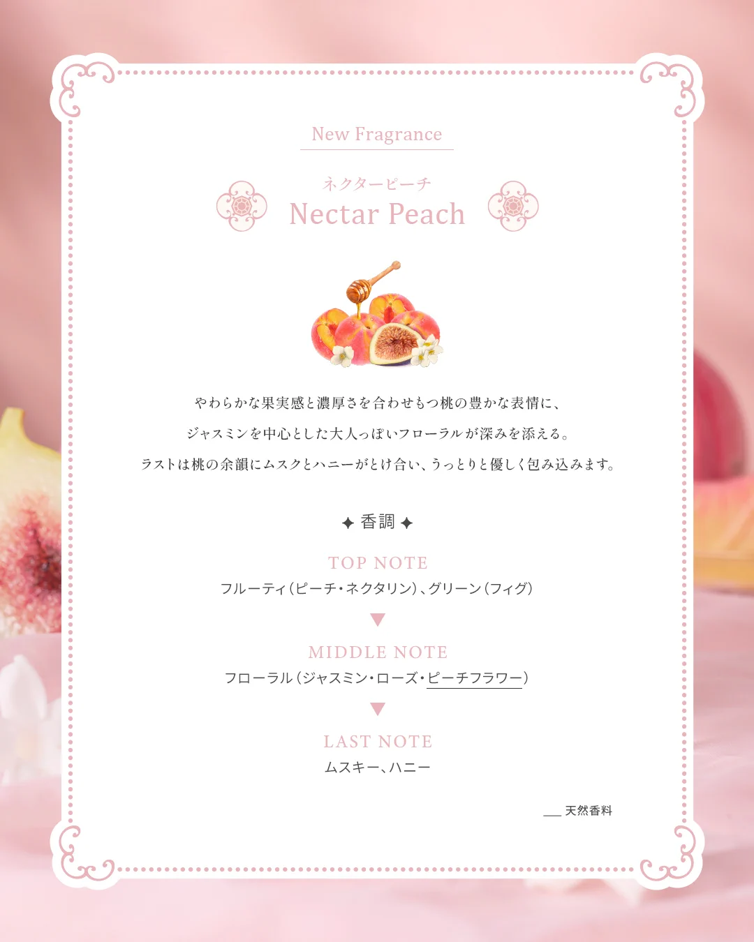 JILLSTUART Beauty公式 on X: 