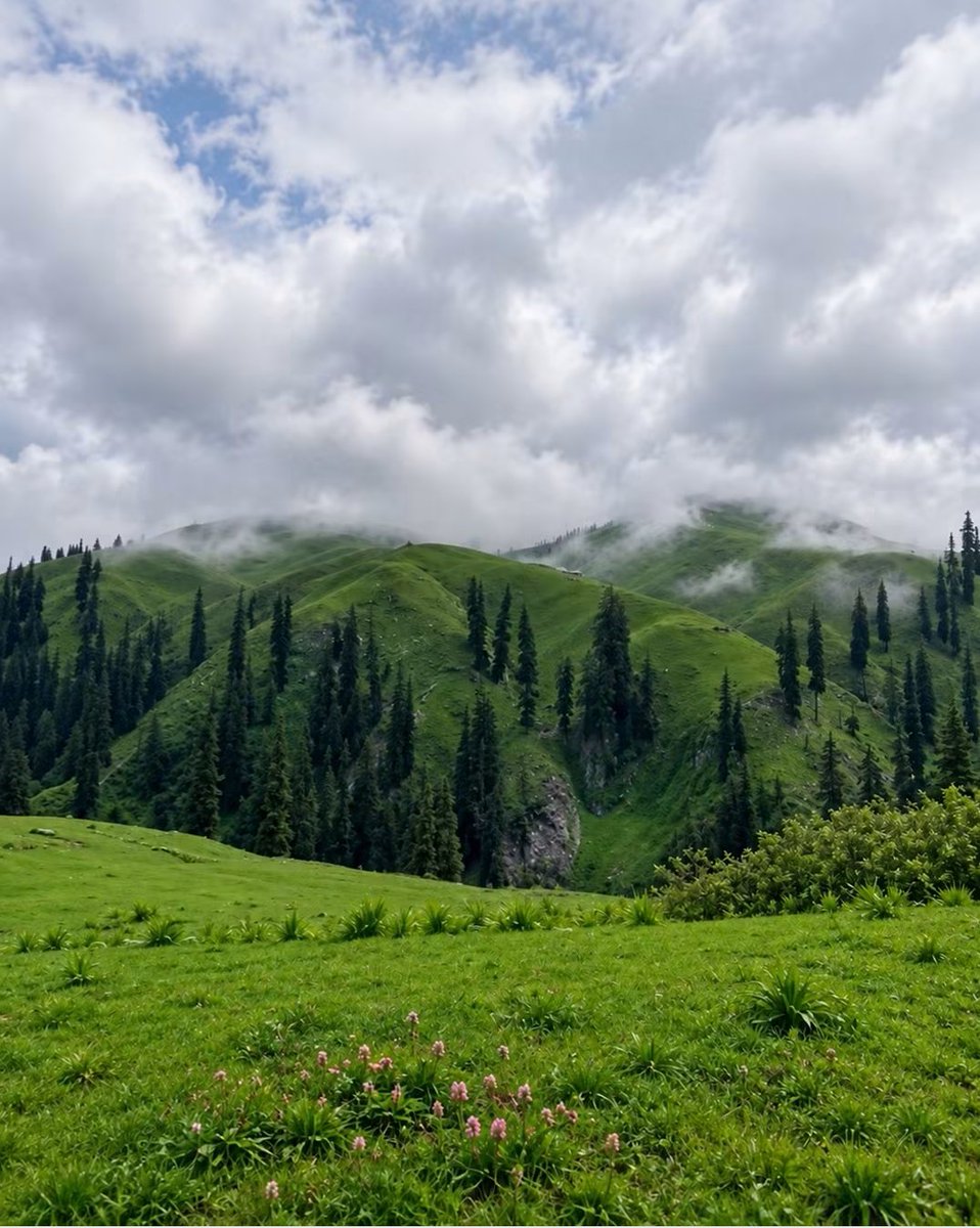 MSafdar81's tweet photo. جہاں زمینی خوبصورتی اور بادلوں کی دلکشی مل جائیں، وہاں سکون بنتا ہے۔ 💚

Good afternoon 

#NatureLover #Greener #CloudySky https://t.co/UWEjohdArC