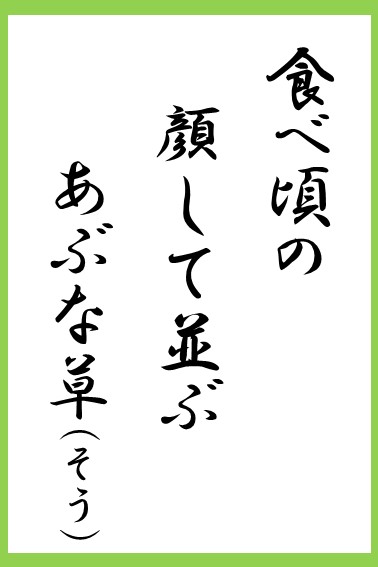 MAFF_JAPAN's tweet photo. 【９月も #食中毒予防】
食品安全の情報を #食品安全川柳 としてお届けしています！
最終回のテーマは #有毒植物
ご参加いただいた皆様、たくさんの投稿ありがとうございました！✨
最後を飾る一句や感想を #食品安全川柳 をつけてお寄せください！

有毒植物について↓
https://t.co/UGezlSiDWA https://t.co/qcR7bqoB2k