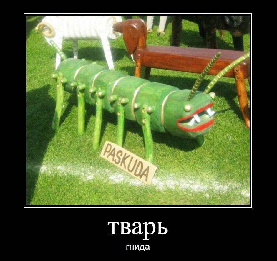 lollinnert's tweet photo. @mirayum08 тебя описывает вот эта картинка потлму что ты моазь меня кинула https://t.co/fAHypqdzdP