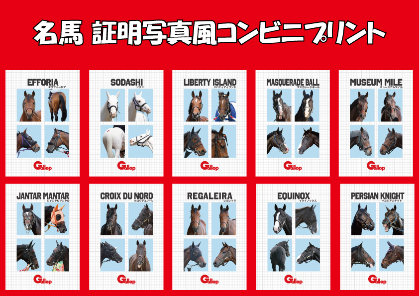 gallop_keiba's tweet photo. ＼✨本日発売✨／
コンビニのコピー機で買える！
名馬証明写真風コンビニプリント🐴📷

イクイノックスやソダシなど豪華10頭が登場！
通常版＆レアなシークレット版の【全20種】💫

L判 400円（税込） 
「Gallopフォトプラス」で発売中！ 
https://t.co/NWi6VvYGx8

#Gallop #名馬証明写真 https://t.co/1KlsucQlw6