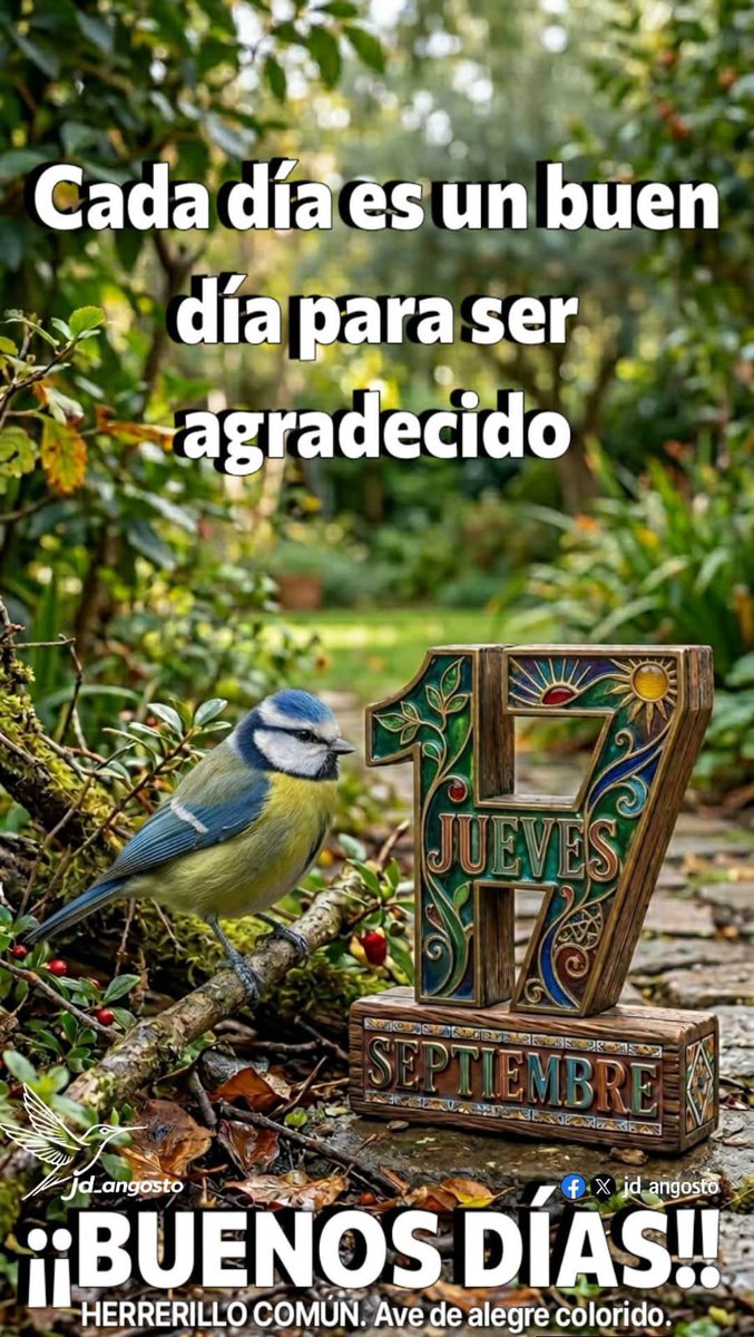 jo17885486's tweet photo. BUENOS DIAS https://t.co/zaoE6MsEvT