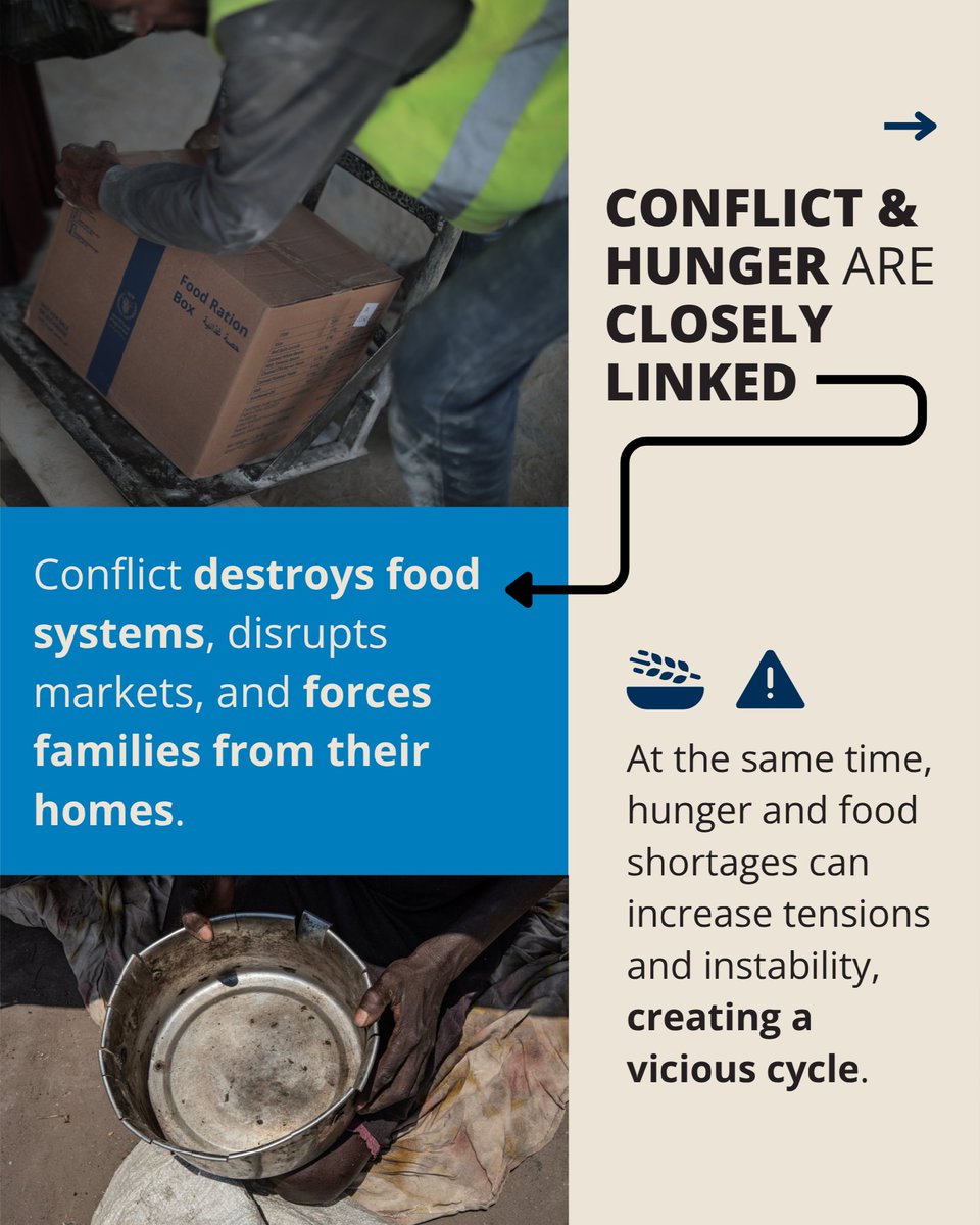 WFP's tweet photo. Conflict and hunger fuel each other. 

Conflict destroys food systems, drives families from their homes and leaves millions struggling to find enough to eat. 

As world leaders gather at #UNGA81, WFP will be highlighting a simple truth: we cannot build lasting peace while millions go hungry. 🌍🕊️