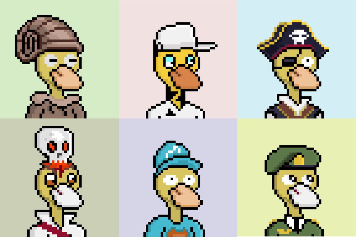 Hunter_NND's tweet photo. quack quack quackkkkk https://t.co/He7ky3v7oS