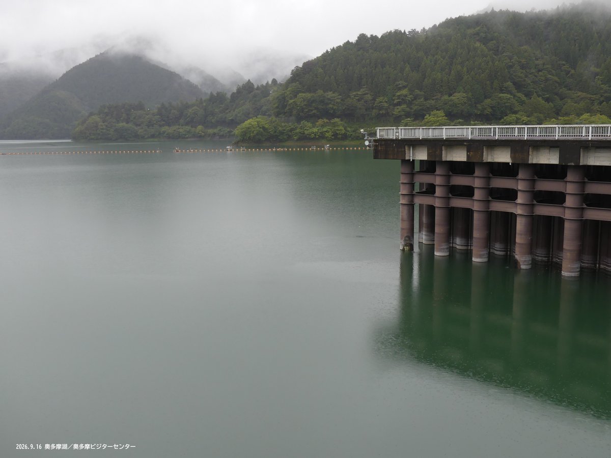 okutamavc's tweet photo. 【奥多摩湖の貯水率　復活！】
連日の雨で、奥多摩湖の貯水率は85％台まで復活しています。
見慣れた景色になりました。
小河内ダムの堰堤も9月11日（金）から、通れるようになっています。
https://t.co/urzpya8EAl

雨の合間を見て（荒天時、無理はせずに）、ぜひお越しください。 https://t.co/YYczhyFcc3
