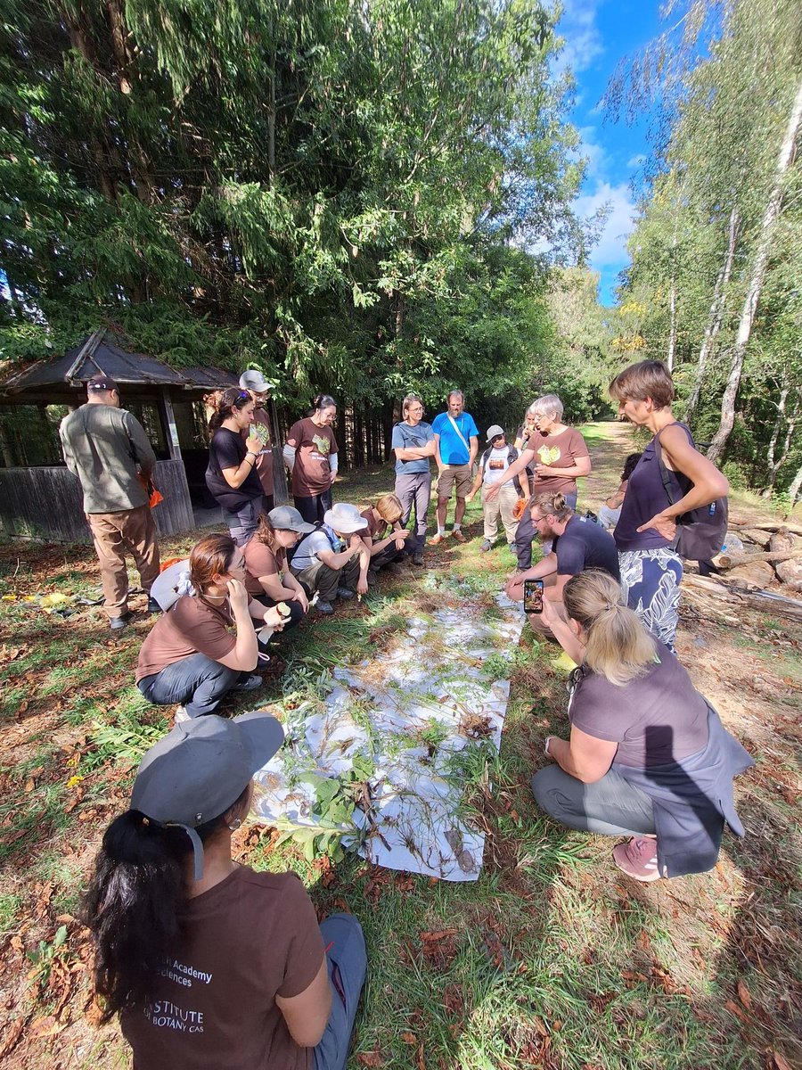 ExFuMo1's tweet photo. The 3st day of #GoBelowground course of belowground functional ecology #Carbohydrates #Storage #StorageOrgans #Clonality #Rhizome #Buds #Stolone #Traits #Economy #Strategy Curiosity always wins😀 #ExFuMo
@Akademie_ved_CR
@IBOTCZ
▶️https://t.co/uZ3StdzXEJ https://t.co/5agfvnNQDL