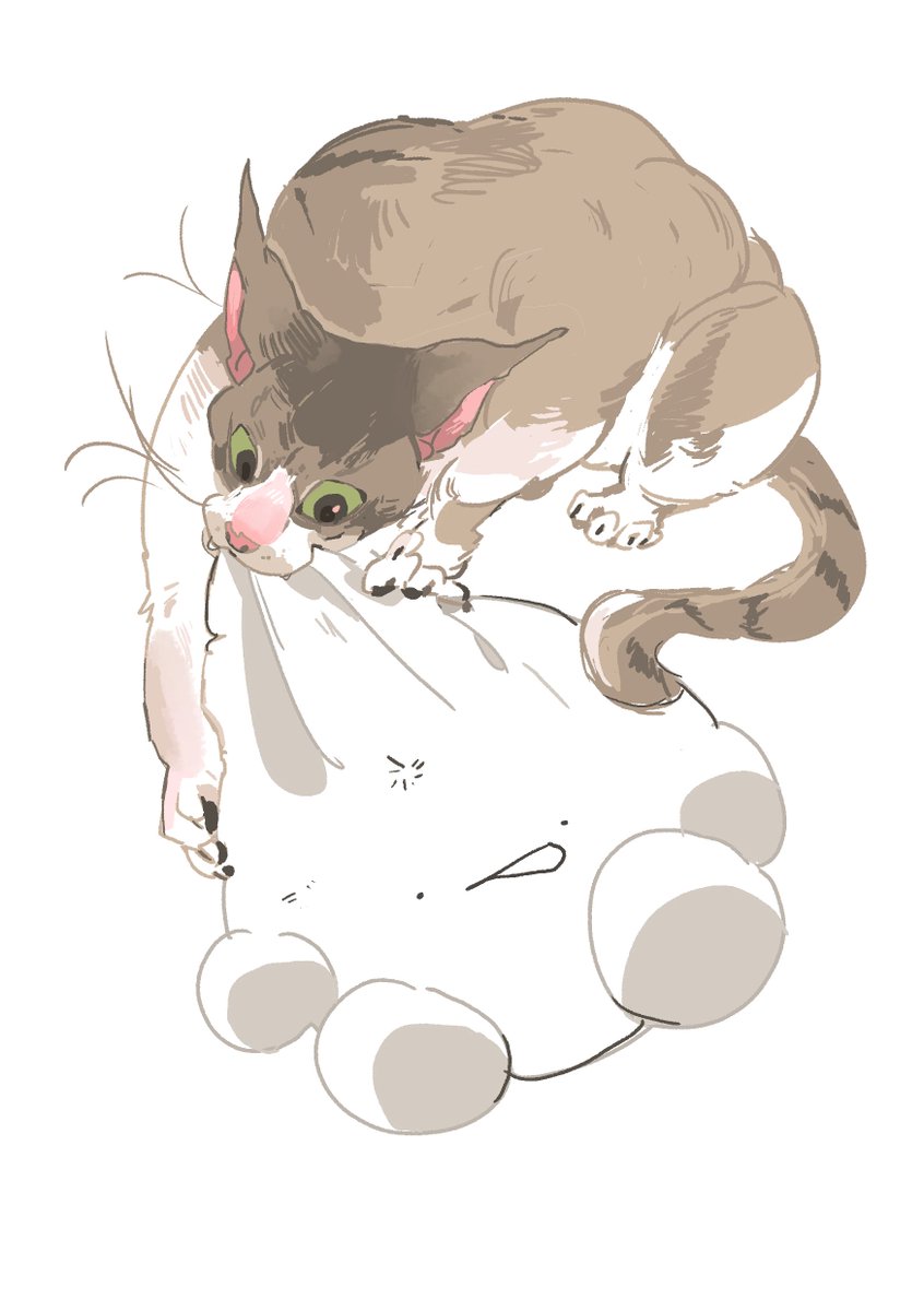 Ikaid_'s tweet photo. chomp

#saparata https://t.co/l22PLopDJ1