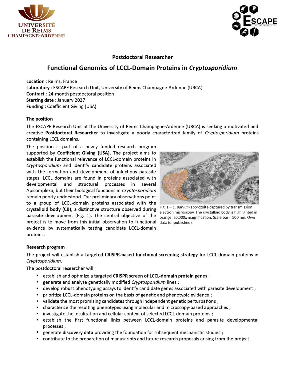 ParaFrap's tweet photo. 🚨 Fully funded #PostDoc opportunity @universitereims  🇫🇷 !

🦠 Explore the biology of #Cryptosporidium using #CRISPR &amp; functional genomics to uncover the role of LCCL-domain proteins in parasite development.

📅 24 months | Start: Jan 2027
⏳ Apply by Oct 31, 2026 https://t.co/RUjoSmyn64