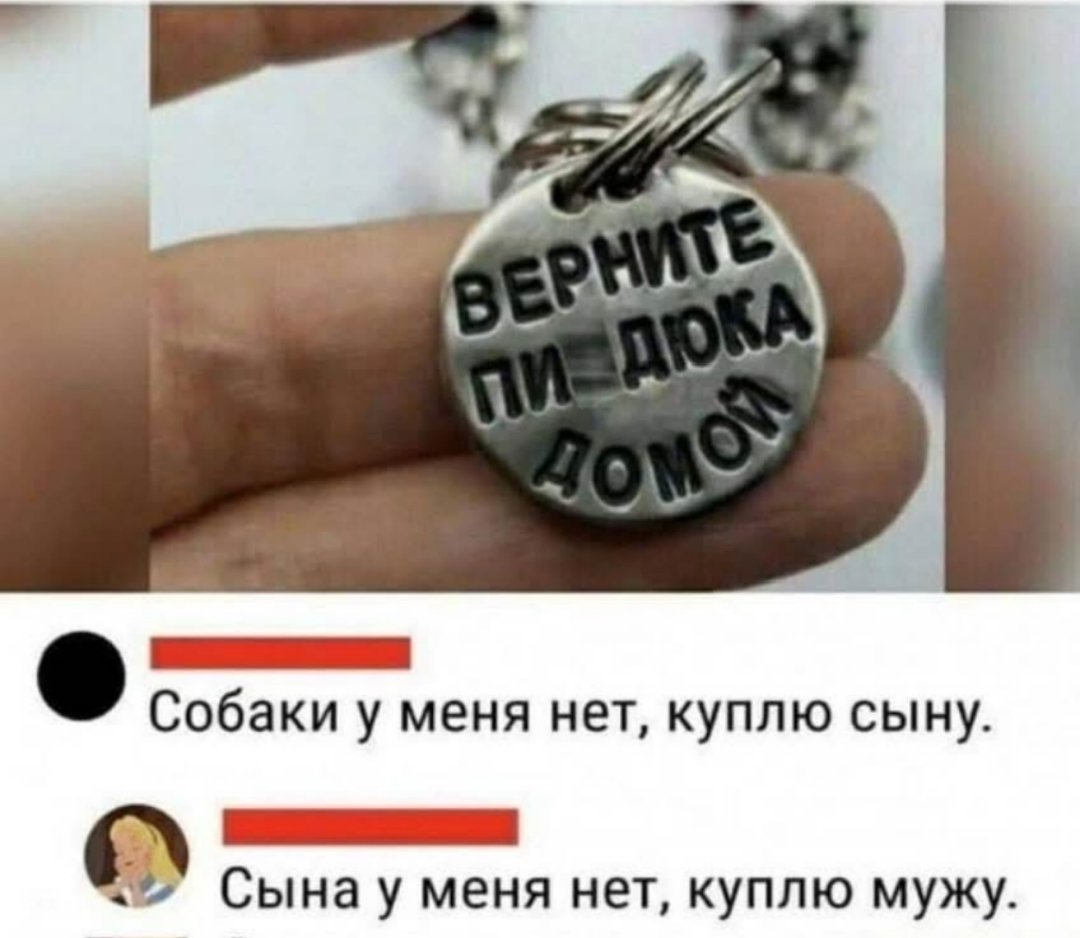 w34861a's tweet photo. Нашёл прикольную штуку для собак https://t.co/JoxHh542KJ