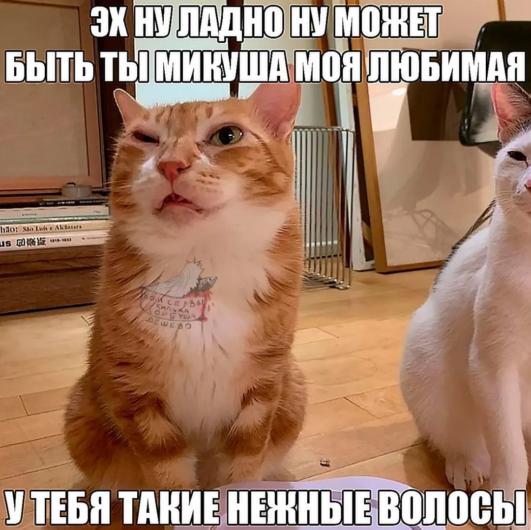 samovar1488's tweet photo. Как же я люблю говорить сам с собой это помогает принимать решение намного проще https://t.co/NWMFP0SFps